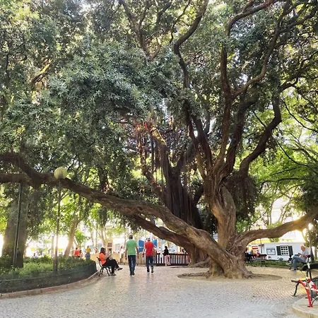 Maison d'hôtes Campo De Ourique - Art And Comfort Lisboa